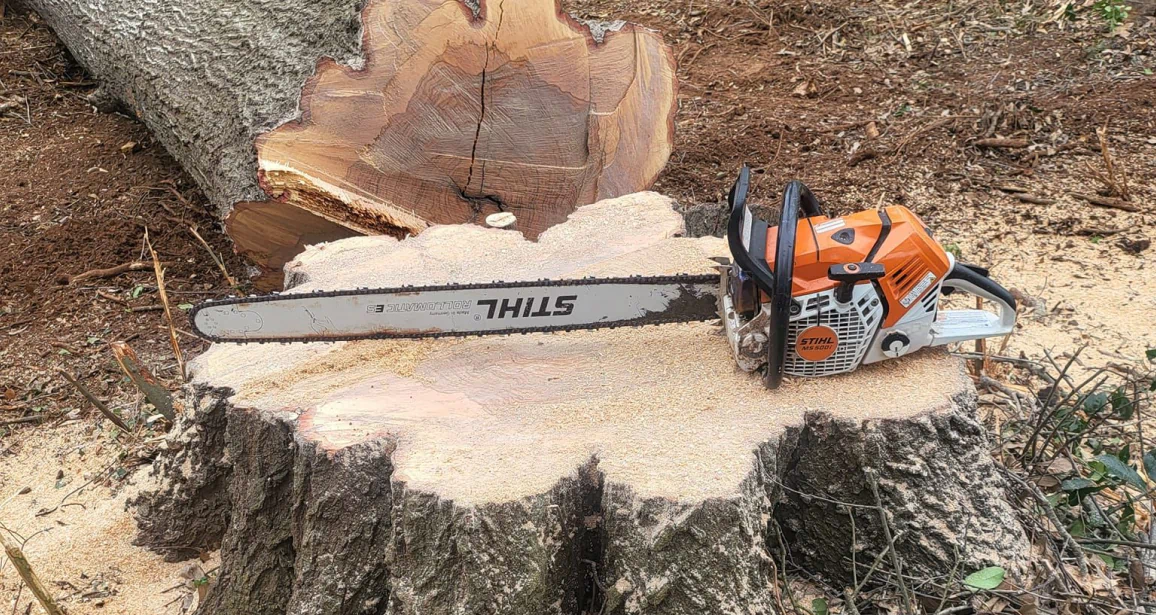 Stump Grinding Service Stump Grinding Service